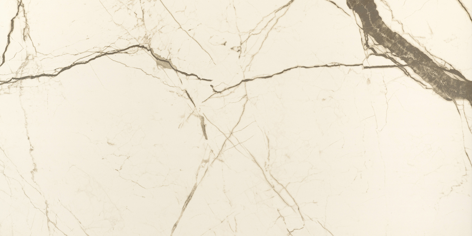AB 1089M Wonicy White matt 1200x600 Absolut Gres