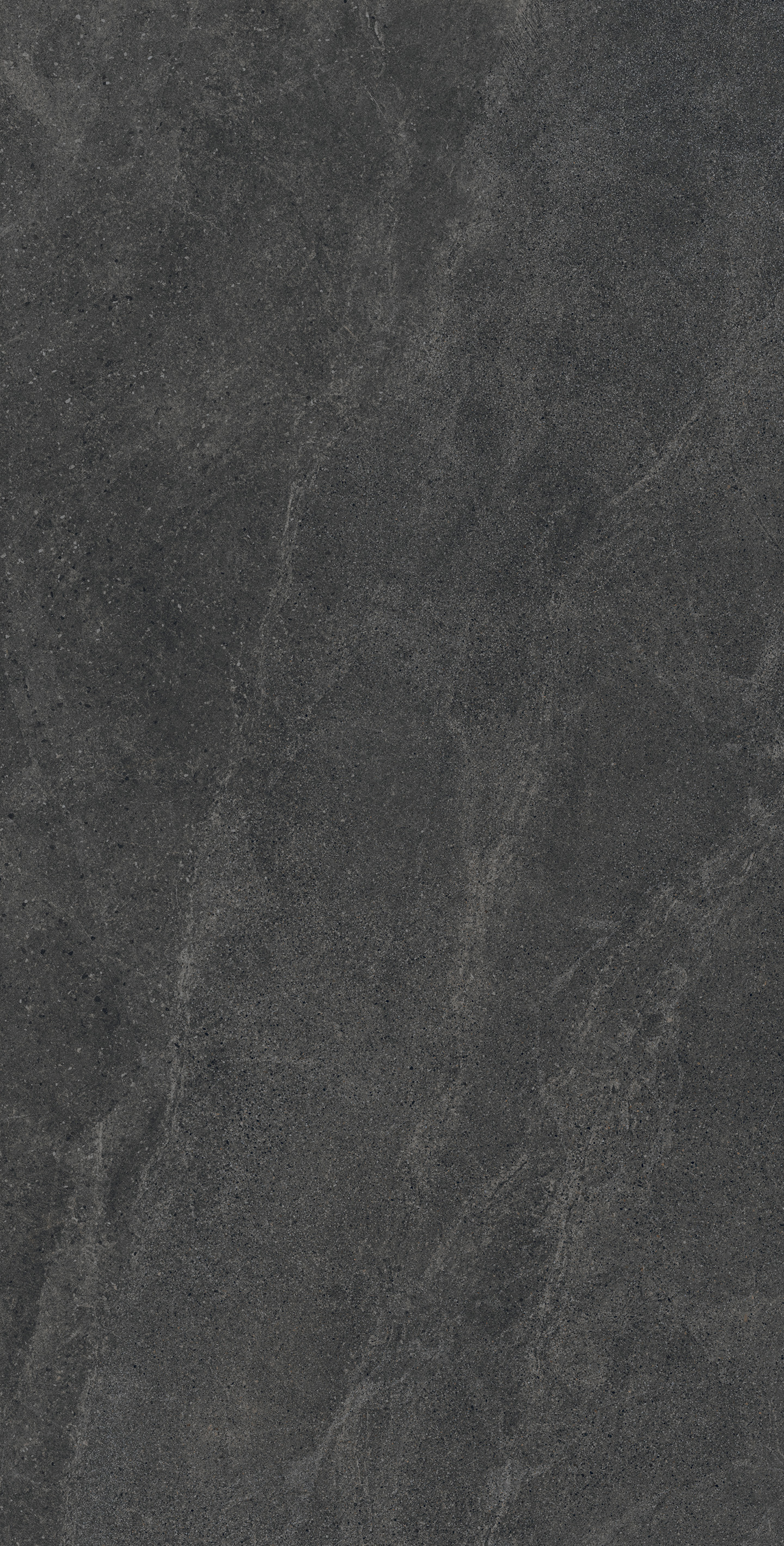 SL1006-A Castello Nero Solido 60x120 Creanza фото 3