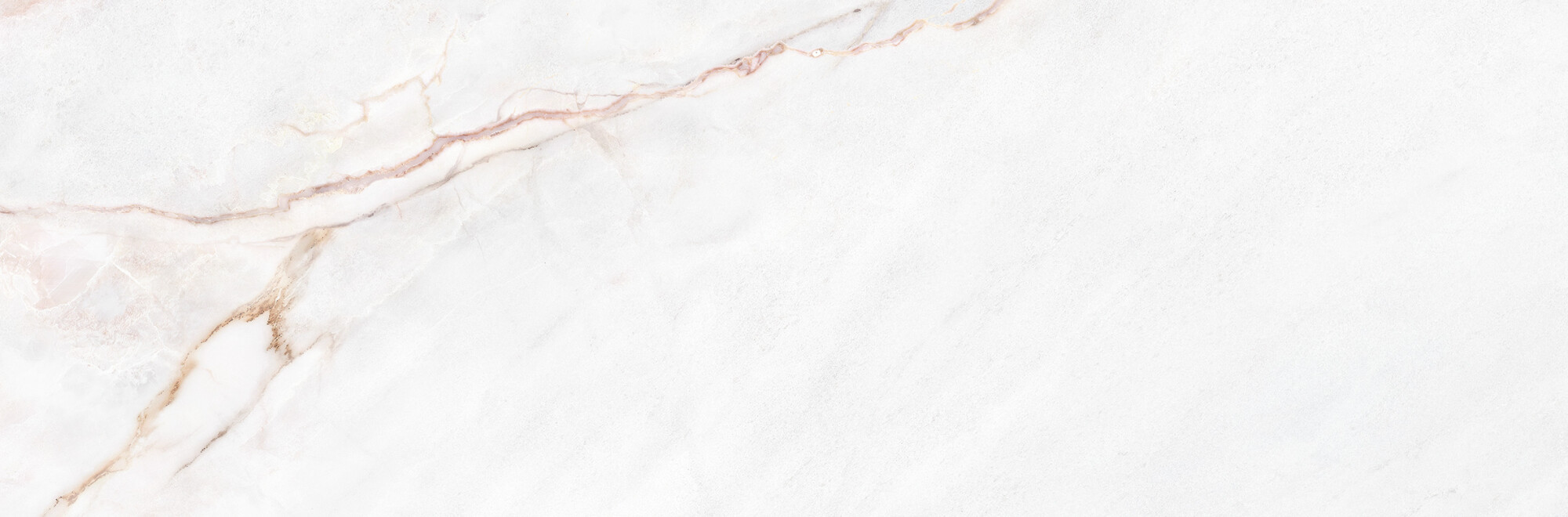 39500 Dahlia White SP/33,3X100/R 33,3x100 Peronda фото 9