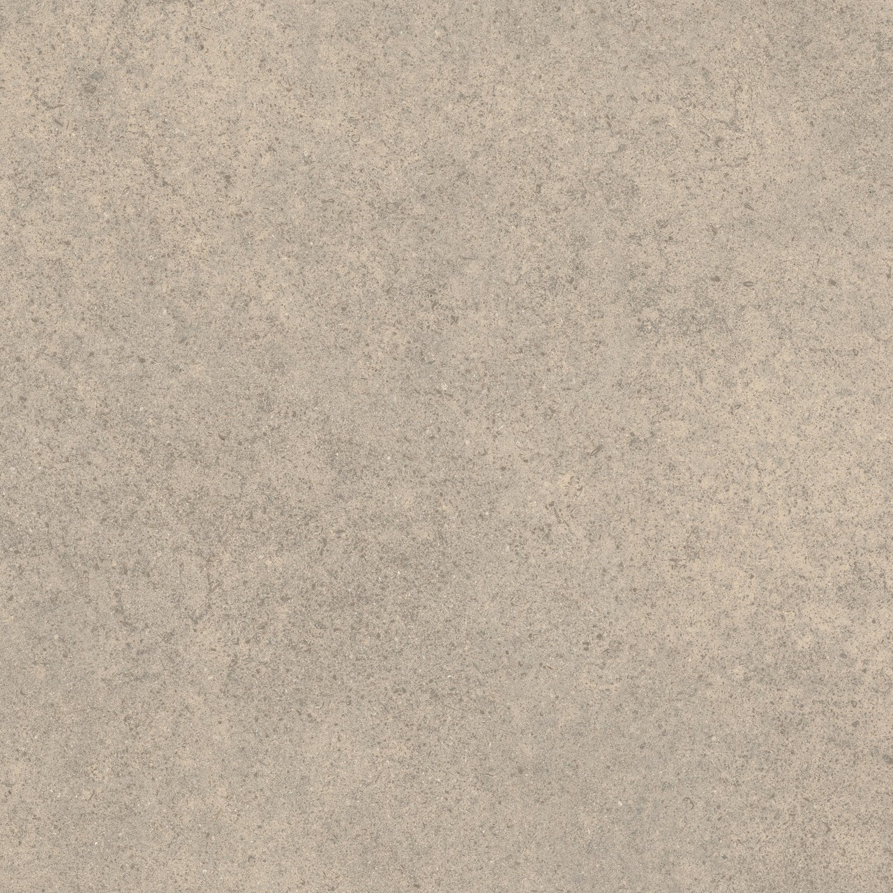 600010002428 Forte dei Marmi Rock Moleanos Cream Matt Rett 120x120 Atlas Concorde Russia