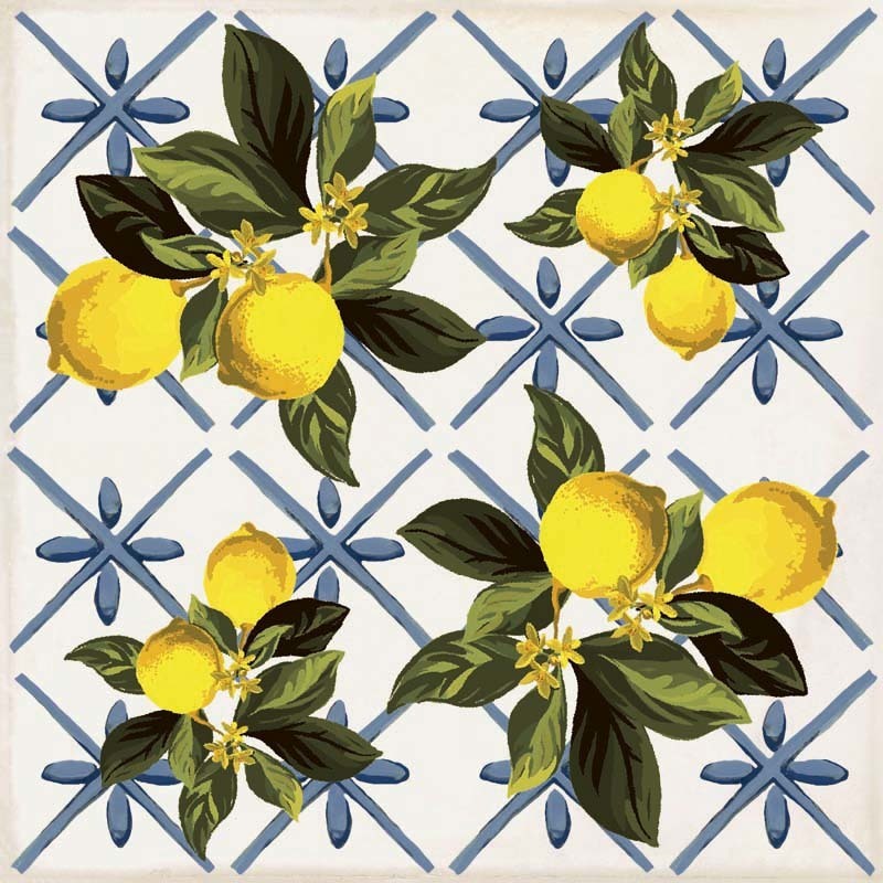 Giardino Bianco Mix Luc 20x20 Sant Agostino