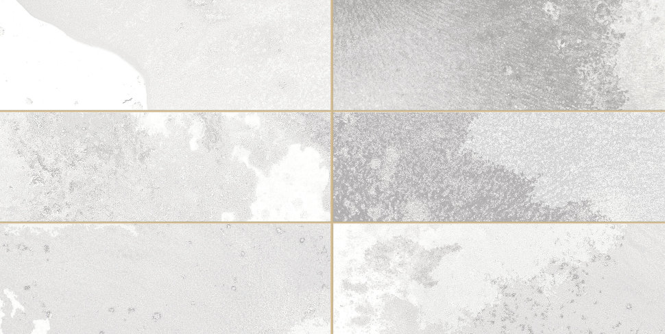 30897 FS Tradition Brick Silver 20x40 Peronda фото 6