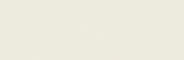 Black-White White 300x100 Kerlite