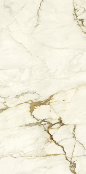 PK612575 Calacatta Macchia Vecchia Levigato Silk ret 60x120 Ariostea
