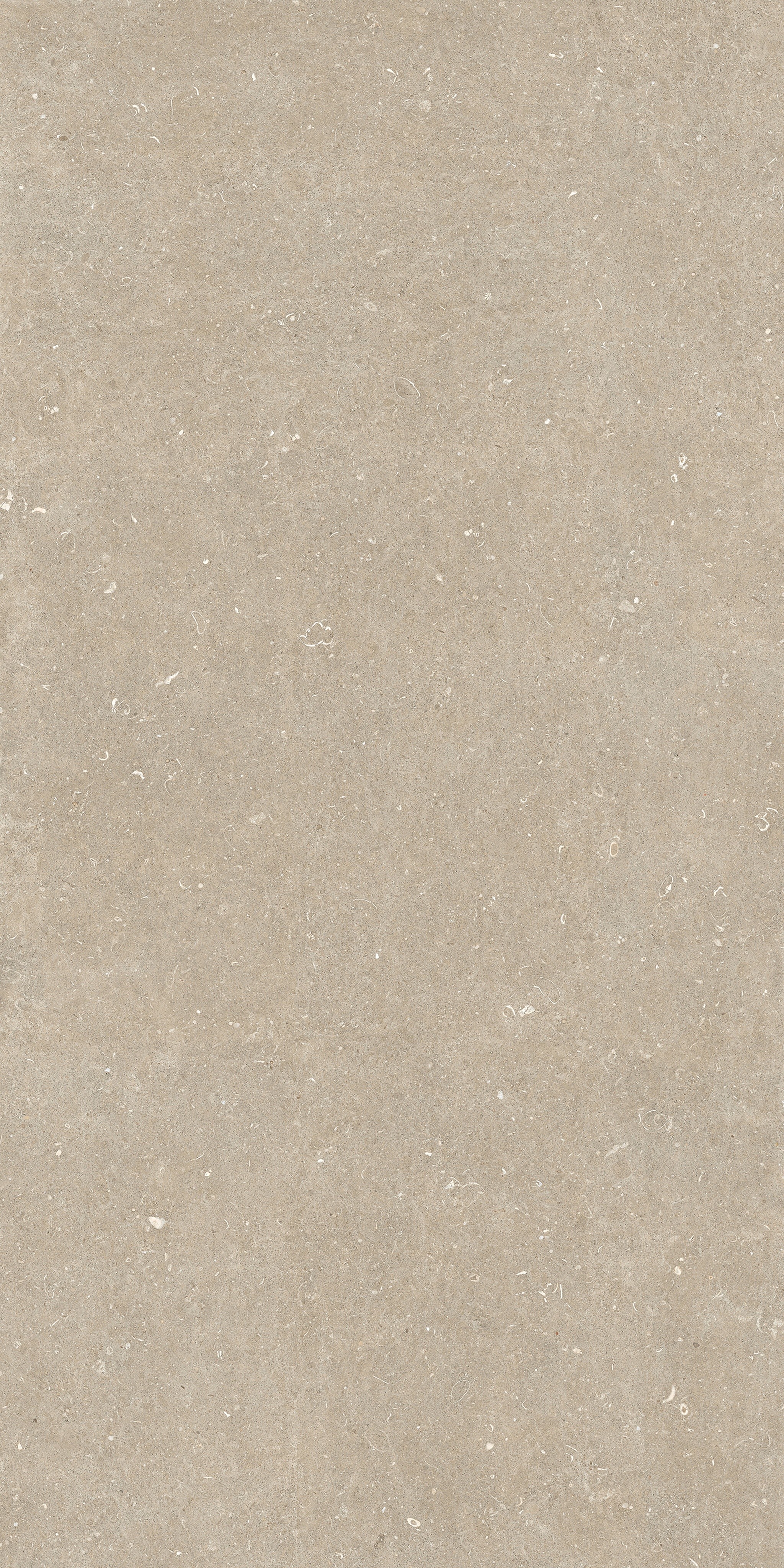 785583 Rinascenza Arena Conchiglia Matte 6mm 120x240 Casa Dolce Casa