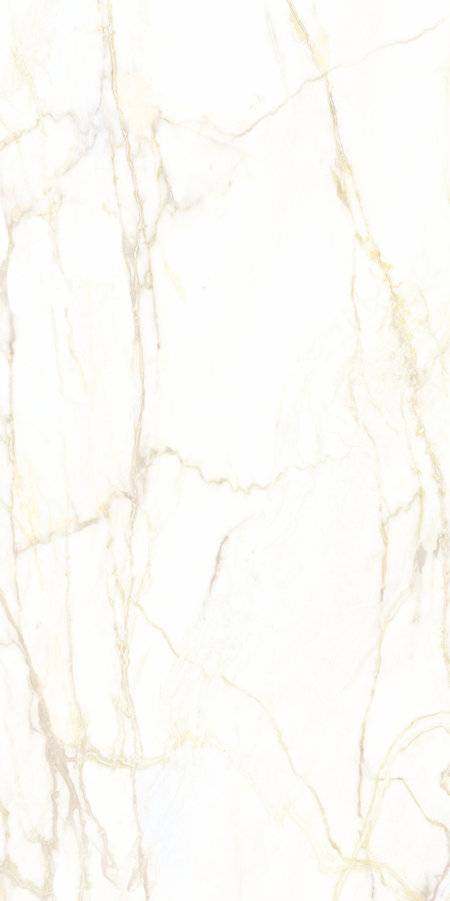 769415 Chimera Empatia Bianco Glossy Ret 6mm 120x240 Cedit
