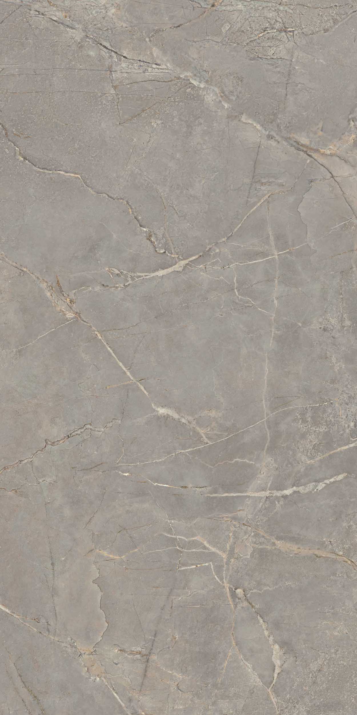 BR03 Bernini Grey Неполированный Рект. 60x120x9 Estima фото 9