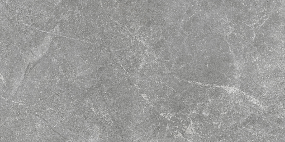 Rocky Grey PRO серый матовый R10GR STR CB 60х120 Laparet