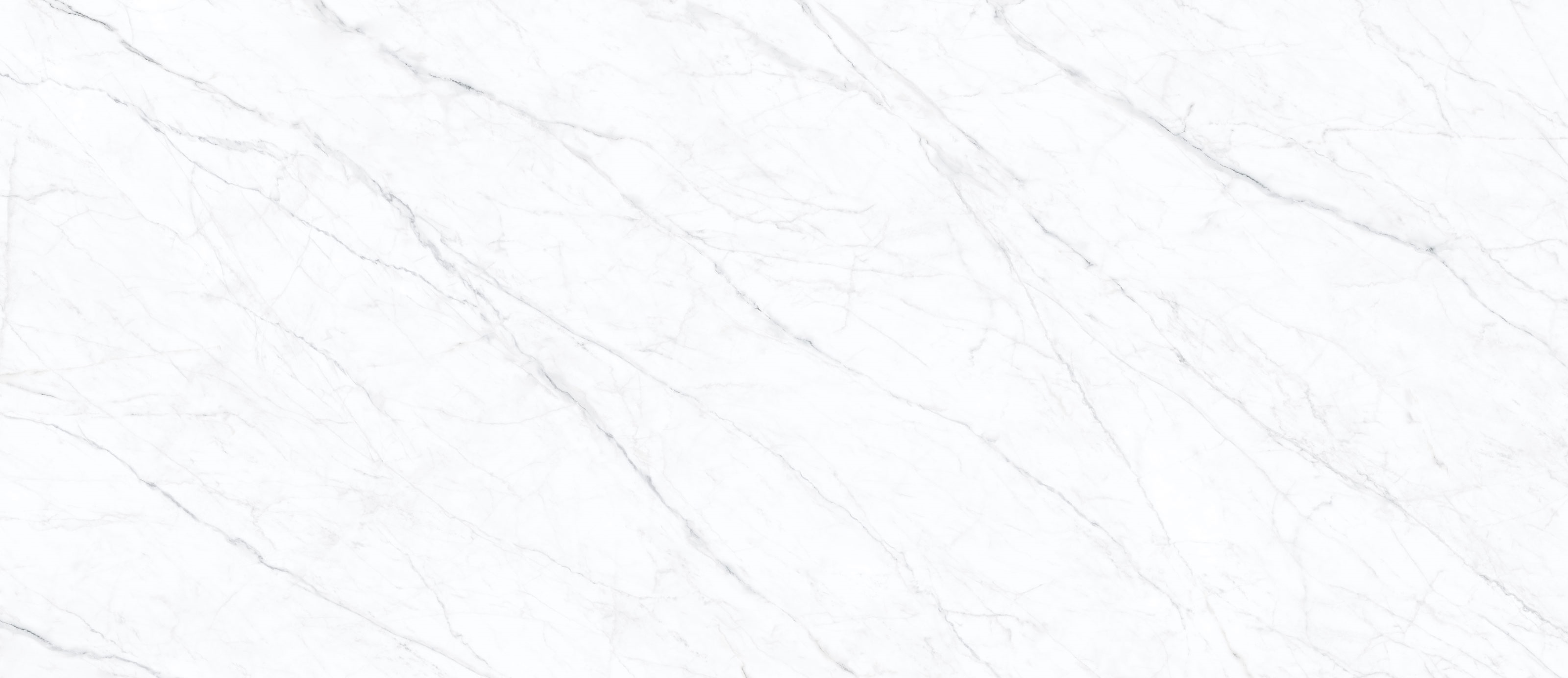 Carrara Twig White 120х278х6 Simpolo Ceramics