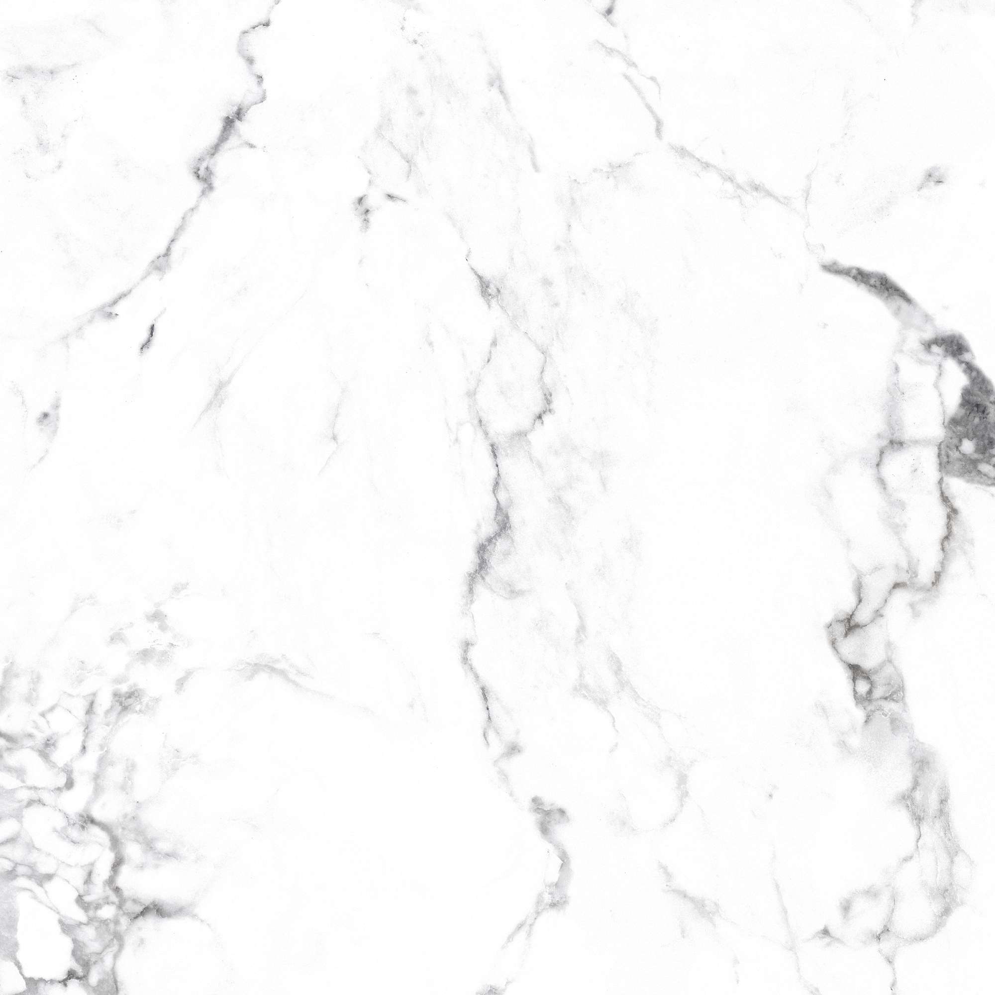 CR4006-A Borghini Silver Carving 60x60 Arcadia Ceramica