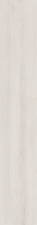 303801 Ikon Birch Rett 20x122 Dado Ceramica