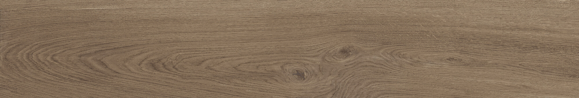 41729 Bloom Cognac SP/24x151x0,9/R 24x151 Peronda