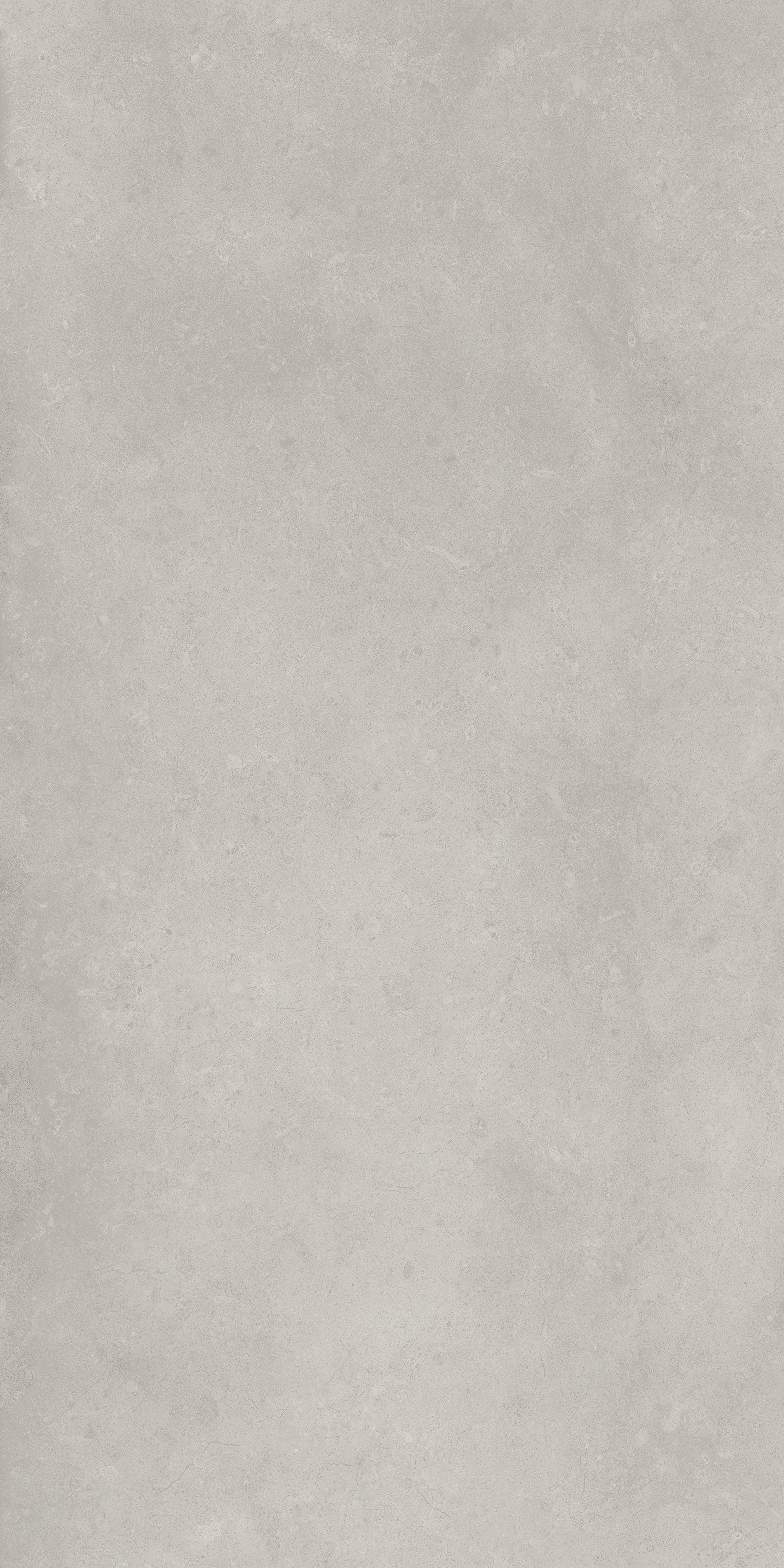610010004099 Fossil Grey Nat Ret 60x120 Italon