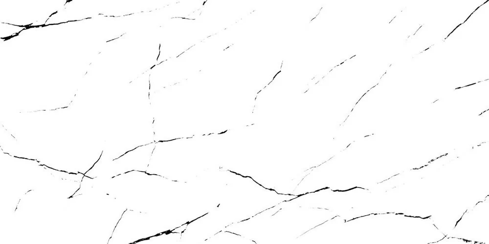 Delta White 60x120 Bluezone фото 5