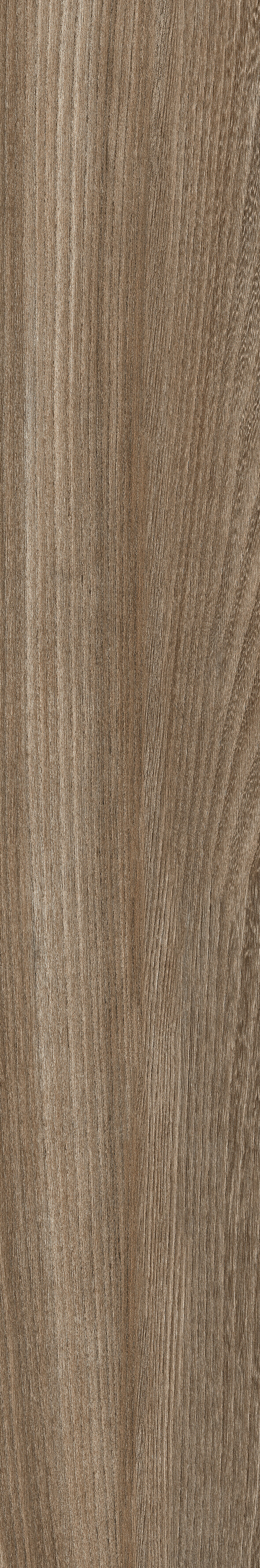Poeme Siena 120x20 Keraben