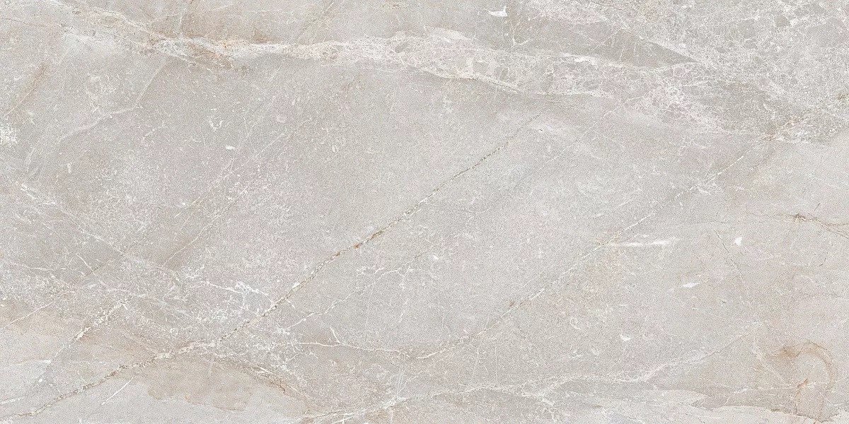Stonico Oyster Grey Glossy 60x120 Art Ceramic