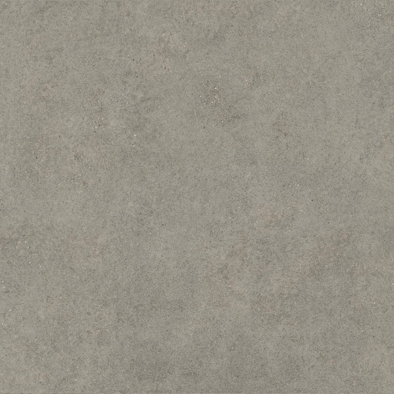 600010002429 Forte dei Marmi Rock Lunar Grey Matt Rett 120x120 Atlas Concorde Russia