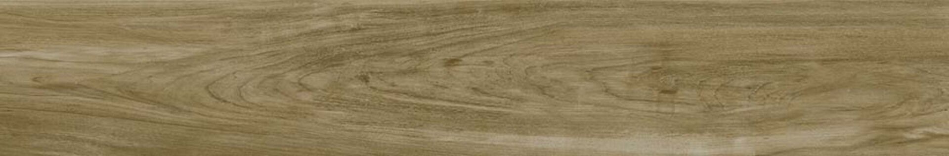 Alessandria Camel 19.5x120x0.9 Prissmacer фото 12