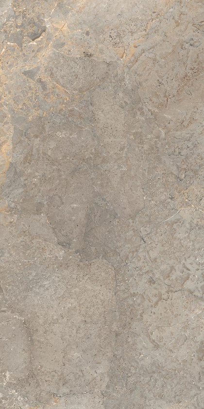 LGXAL35 Anthology 03 Earth Nat. RT 9.5mm 60x120 Lea Ceramiche