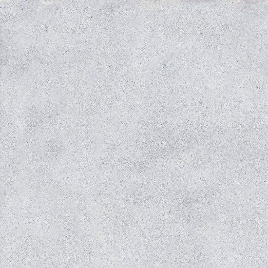 NR117 Elgon Light Grey 60x60 PrimaVera