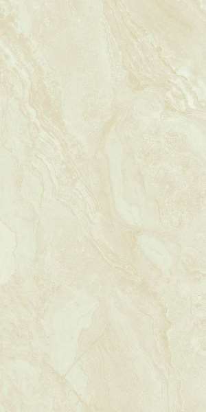 SH126G205 Marbles 60x120 Foshan Vipo