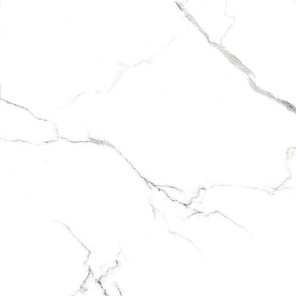 AB 1125G Statiario Titan gloss 600x600 Absolut Gres