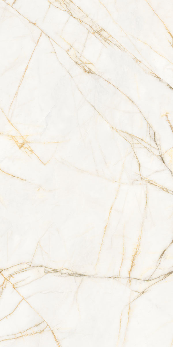 PF60017518 Supreme Hedonism Golden Spider Nat R 60x120 Flaviker