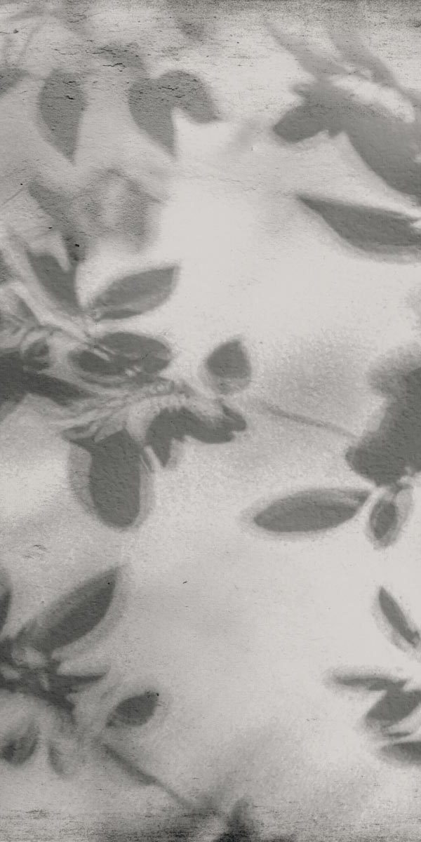 PF60012582 Art Walls Shadow Nat R 60x120 Flaviker
