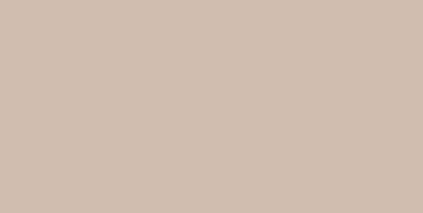 WAAMB008 CONCEPT PLUS Beige 20x40 RAKO