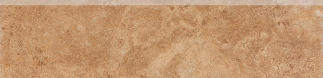 DSAL3418 Pietra di Mare Brown 8x33 RAKO