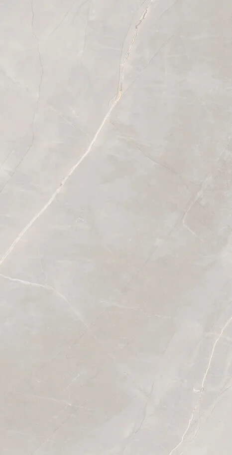 Marble Royalish Grey 120x60 Artcer