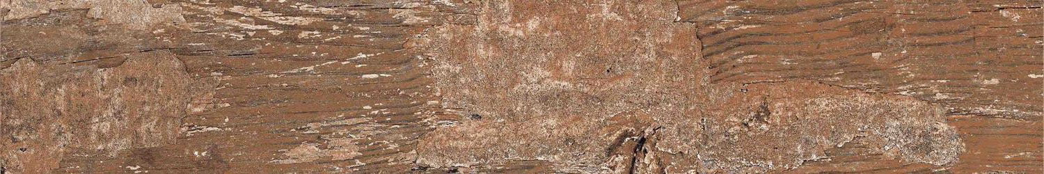 Kiwi Redroot Mat 20x120 Alpas Euro