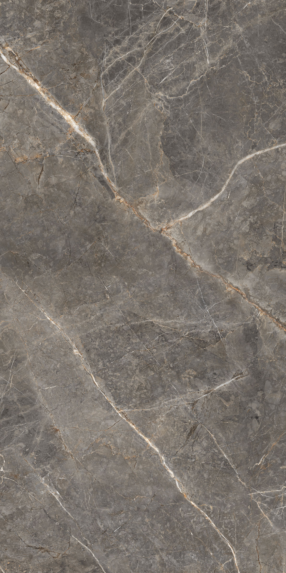 GT1206023109MGR Salsa Темно-серый 60x120 Global Tile фото 10