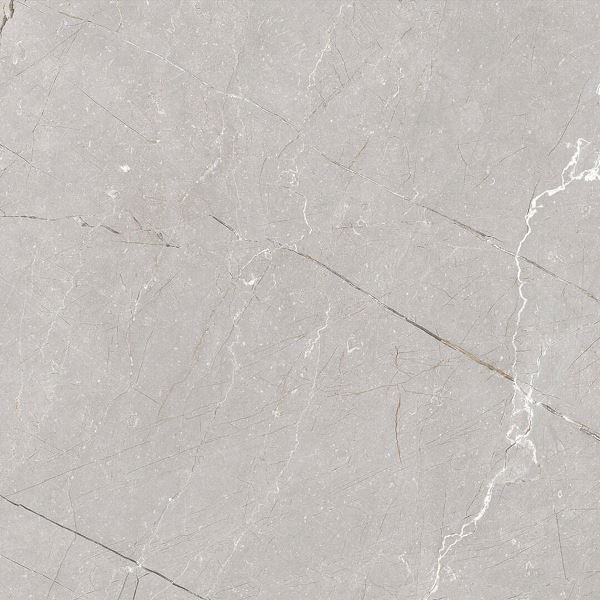 Larice Grey 60x60 Gravita