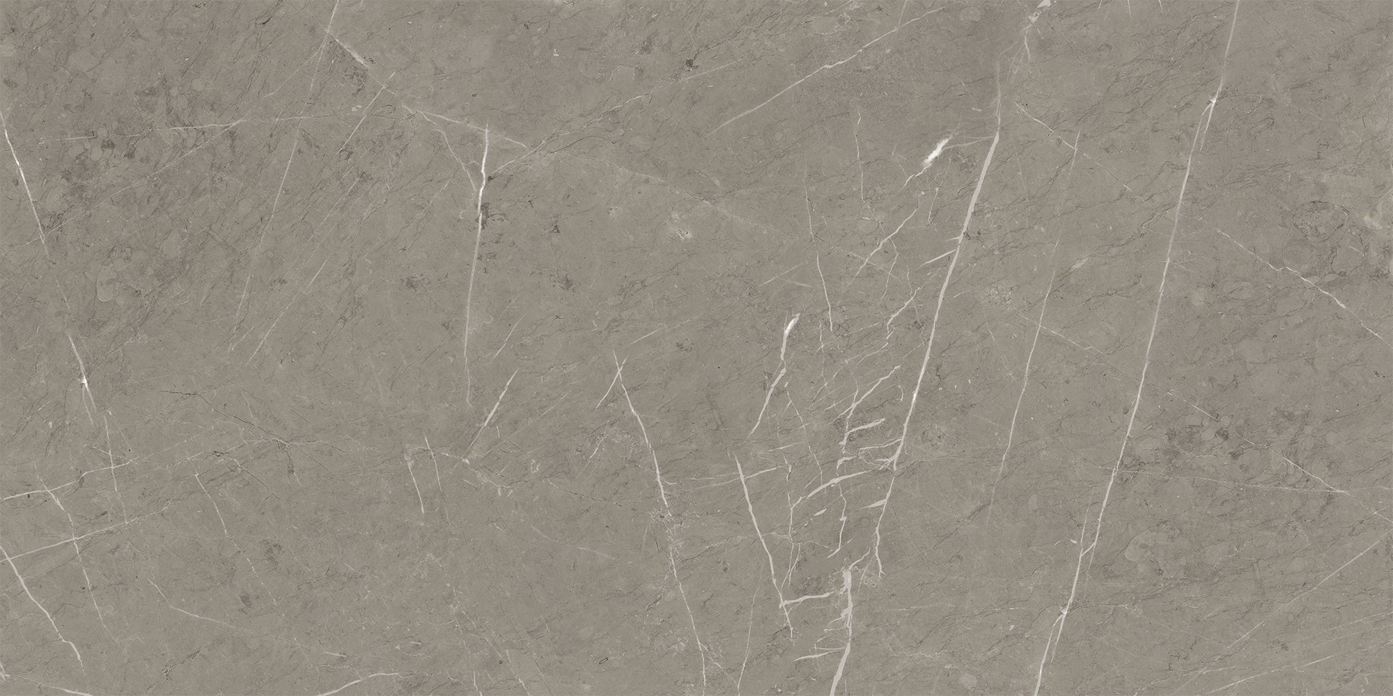 K-2202/LR Skala Grey 600x1200x10 Kerranova