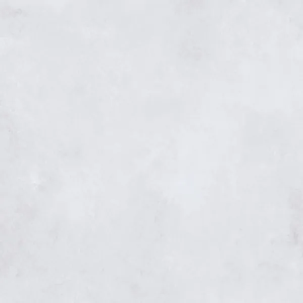 SN0H05M01 Silent Light Grey 600x600 ZERDE TILE