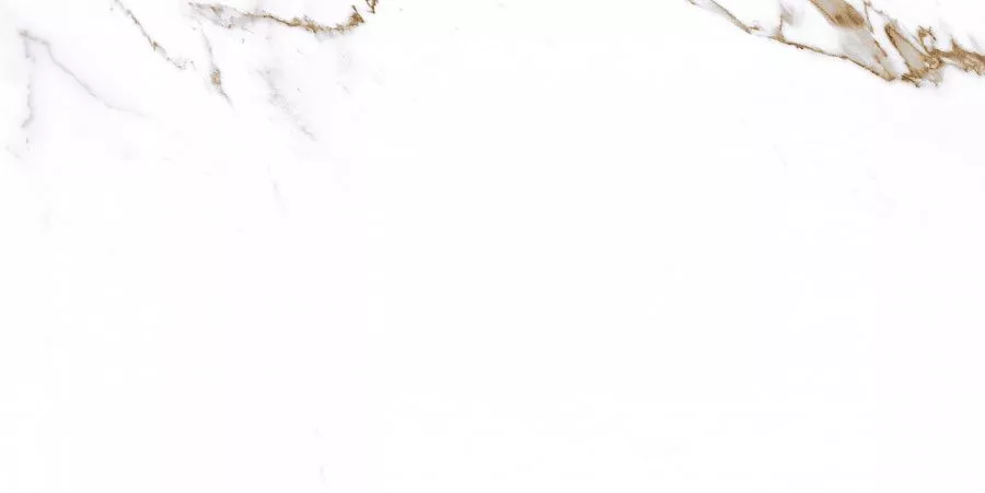 Carrara Bronze Rect матовая 60x120 Prime Ceramics