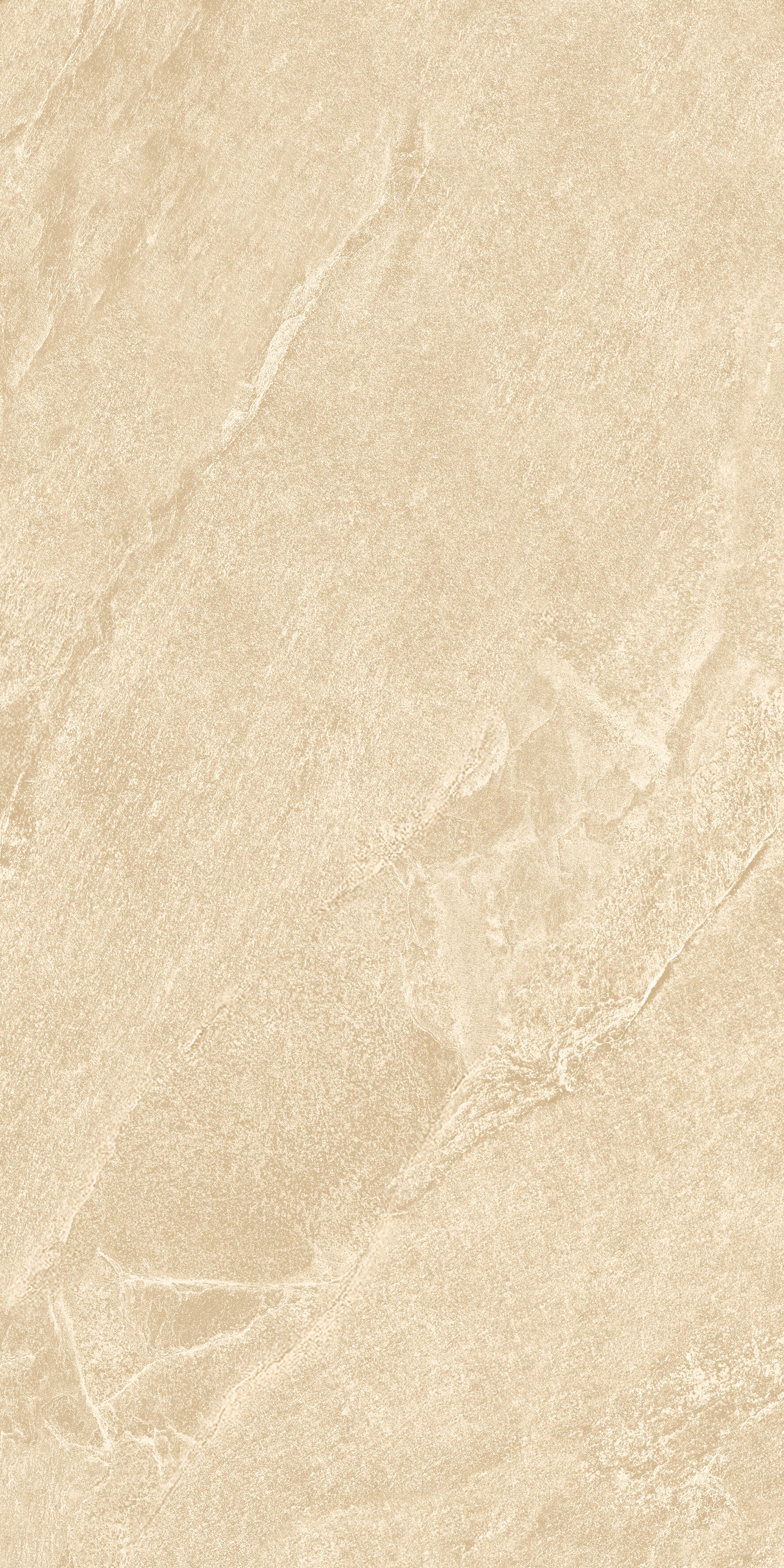 1209 Calcare Ivory Matt 120x60 Artcer фото 5
