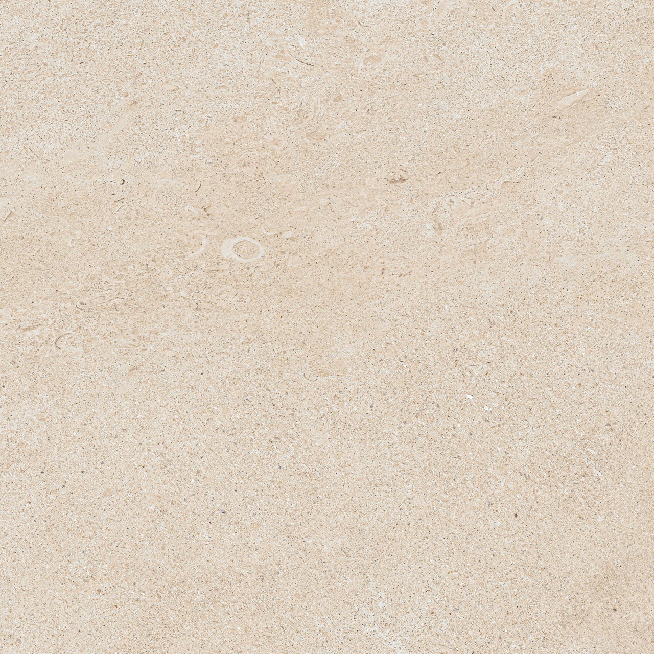 610010005835 Forte dei Marmi Rock Siberian Ivory Lastra 20mm 60x60 Atlas Concorde Russia