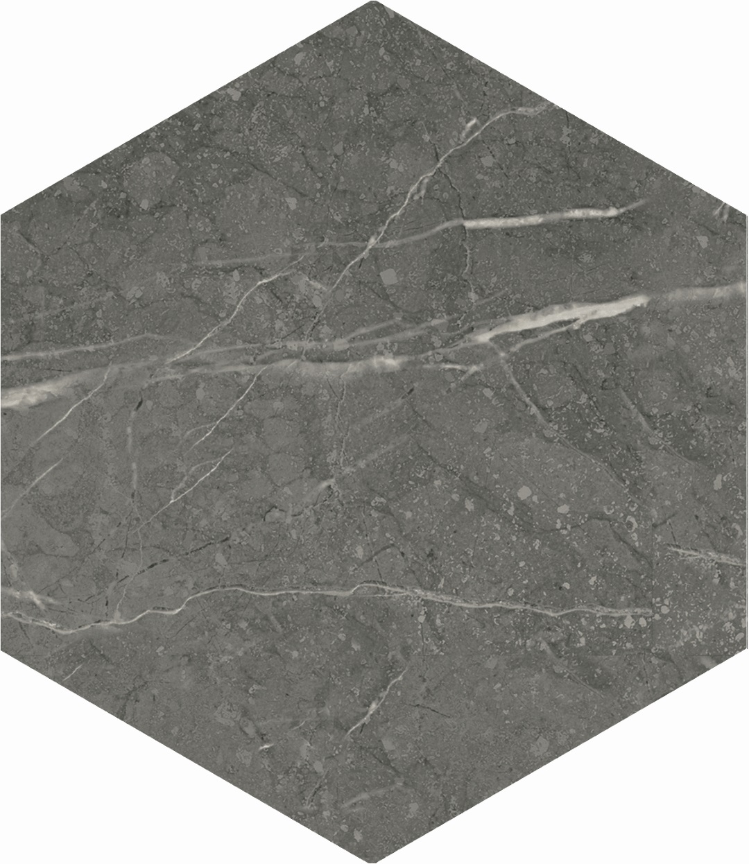 121971 Pietra Graphite 14x16 DNA Tiles