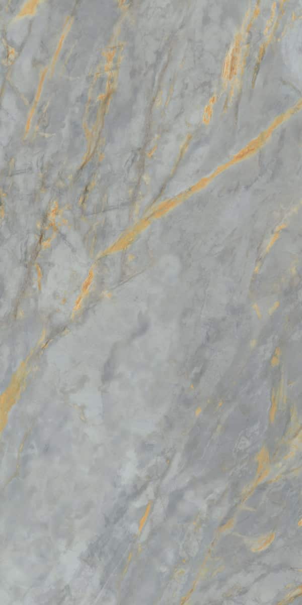 PF60009119 Sensi Signoria Grigio Siena Lux R 60x120 ABK