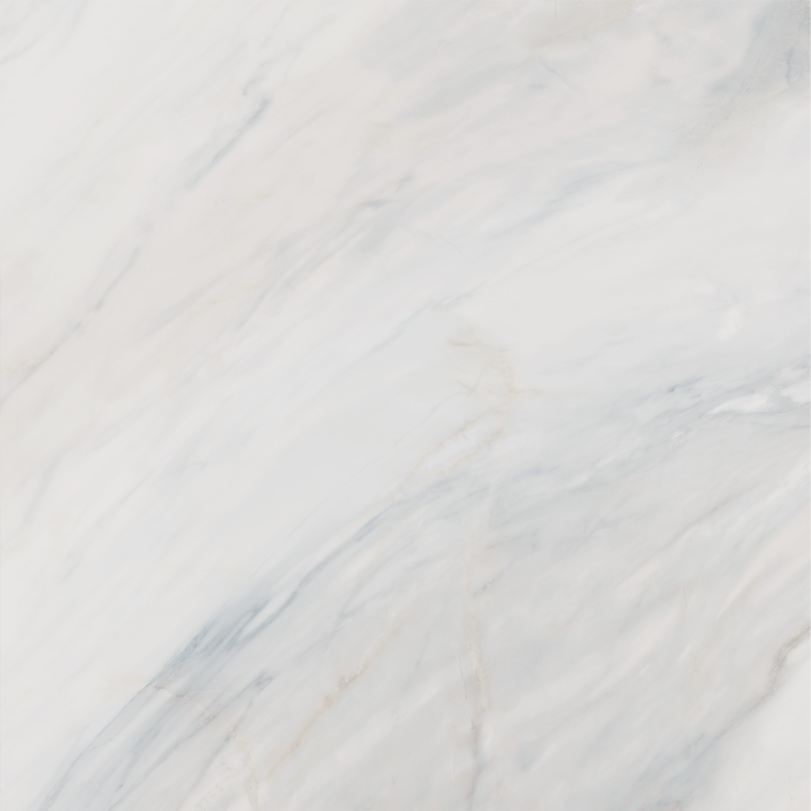 6060CAA03 Carolina Pearl Sugar 600x600x9.5 Delacora