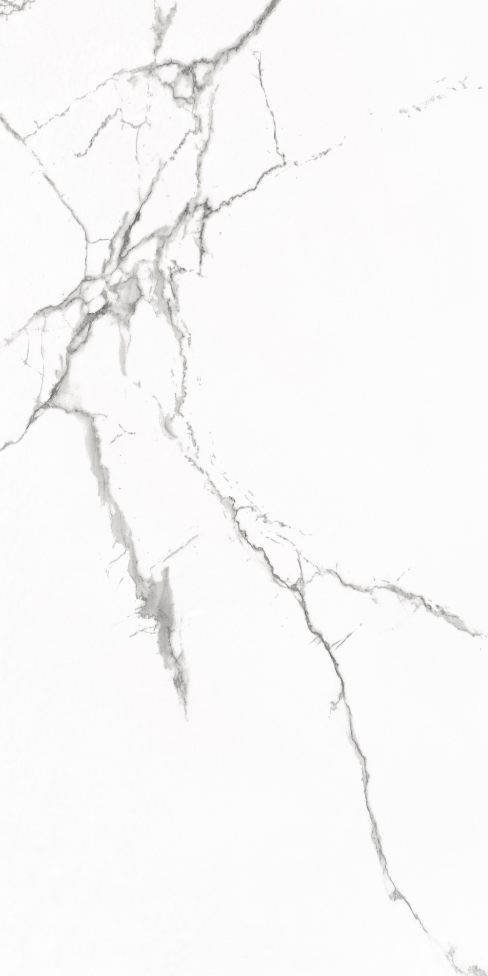 Statuario Venato Polished 60x120 Realistik