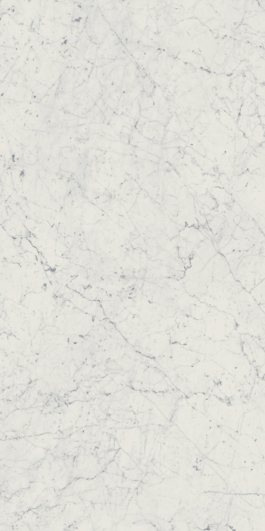 610010001194 Charme Extra Carrara Nat Ret 60x120 Italon