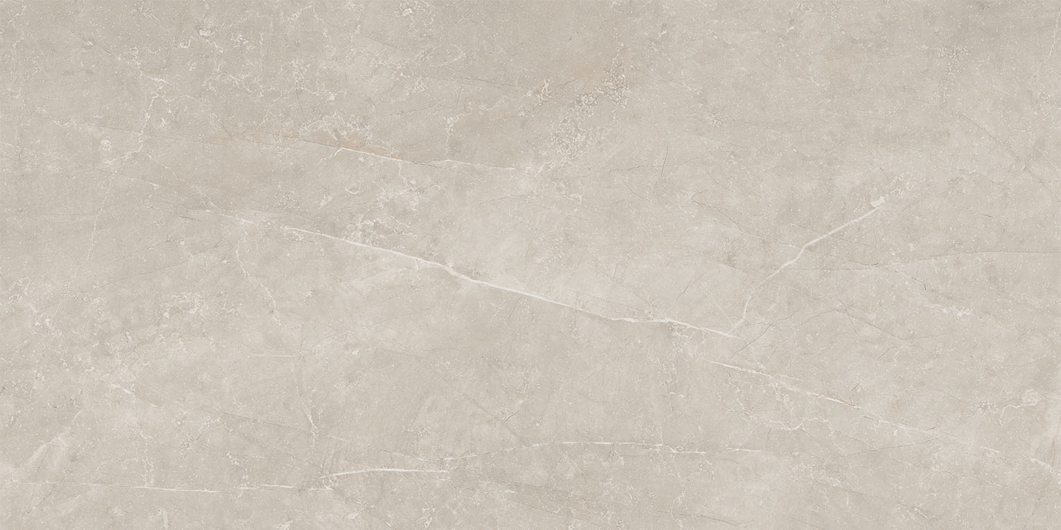 65399 Grigio Nat/Rett 60х120 Cerdomus фото 5