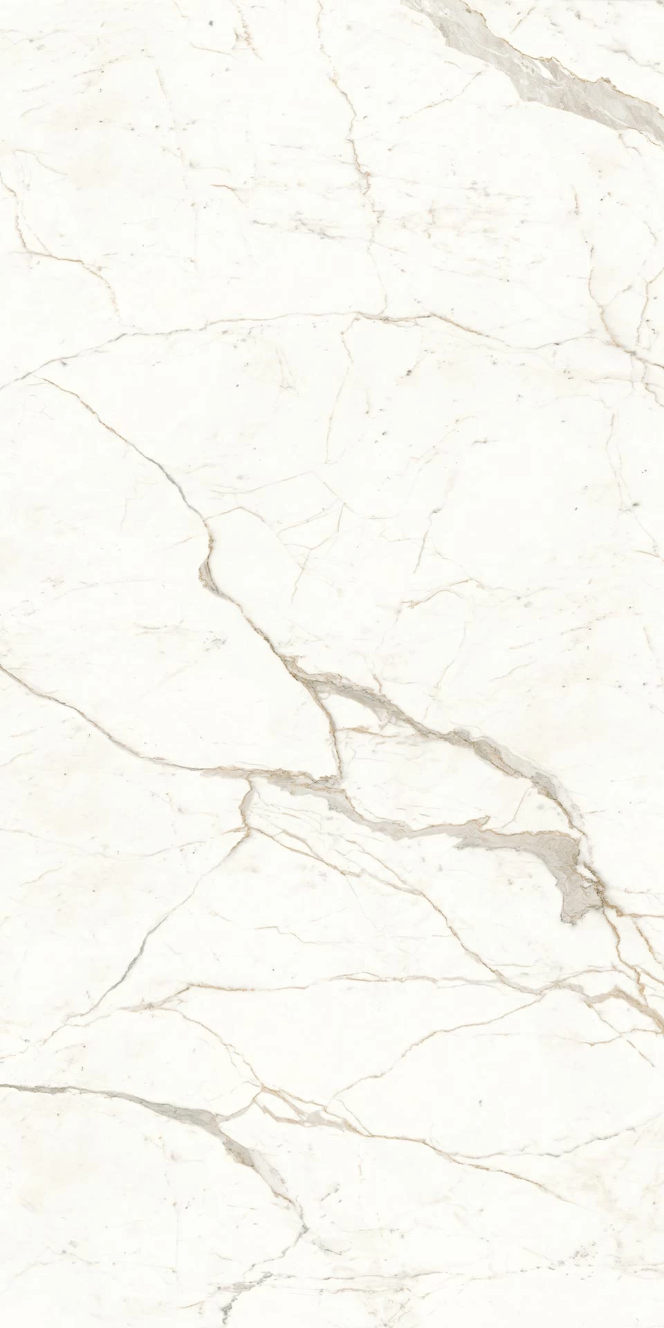 AKFL Calacatta Prestigio Lappato Kit Endless 4pcs 160x320 Atlas Concorde
