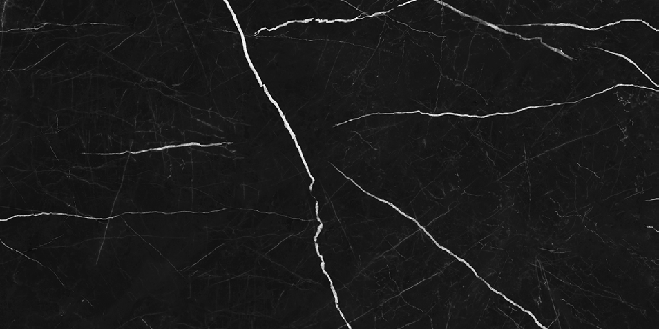 NR209 Ross Black 60x120 PrimaVera
