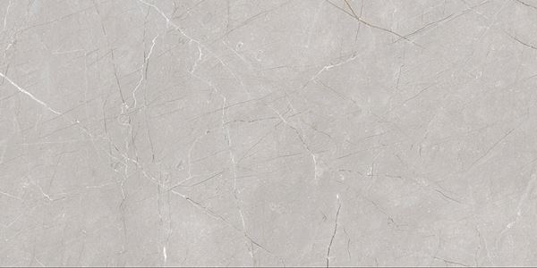 Larice Grey 60x120 Gravita