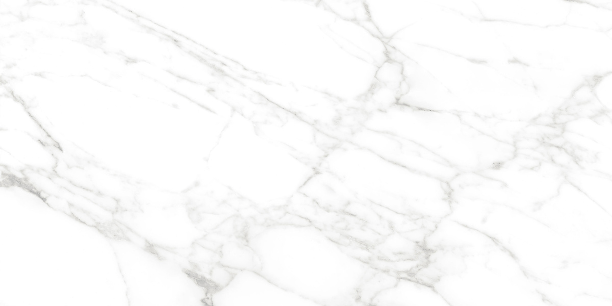 Calacatta Bianco PRO белый матовый R10GR CB 60х120 Laparet