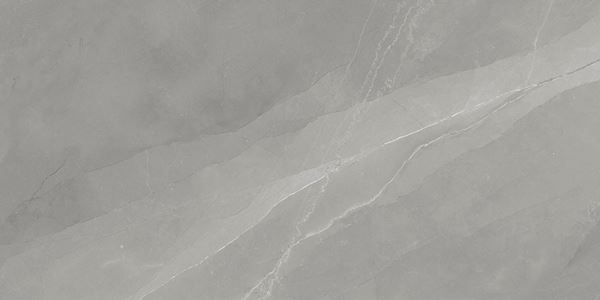 Myas Grey 60x120 Gravita